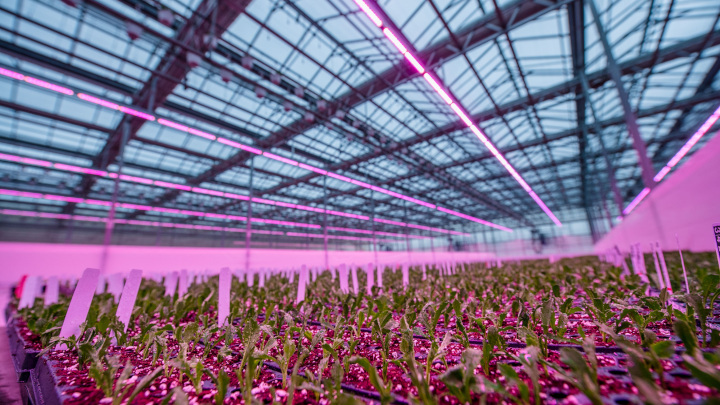 The world market for Horticultural Lighting - CSIL